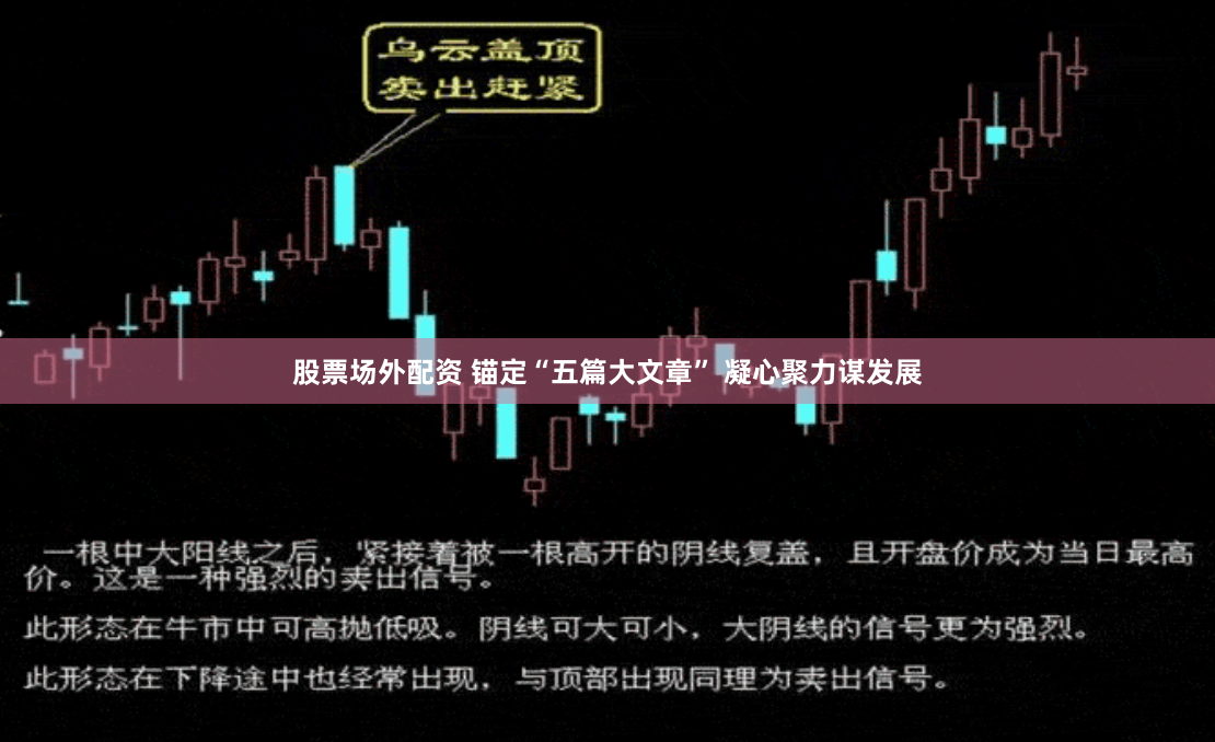 股票场外配资 锚定“五篇大文章” 凝心聚力谋发展