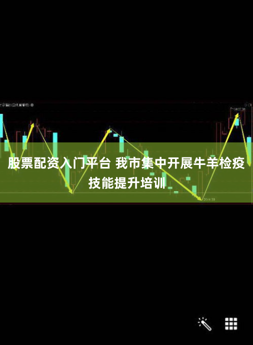 股票配资入门平台 我市集中开展牛羊检疫技能提升培训