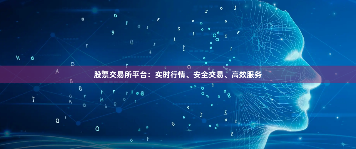 股票交易所平台：实时行情、安全交易、高效服务